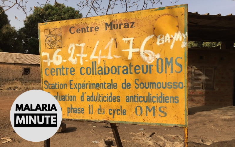 Fungus visual data 5